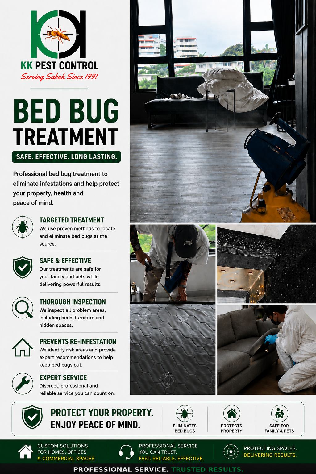 Bed bug treatment service image