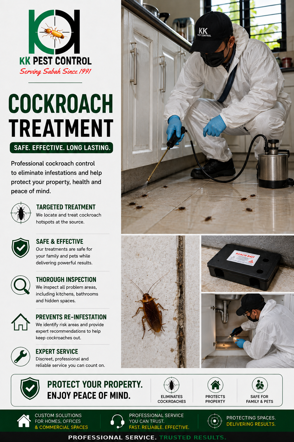 Cockroach Treatment service image