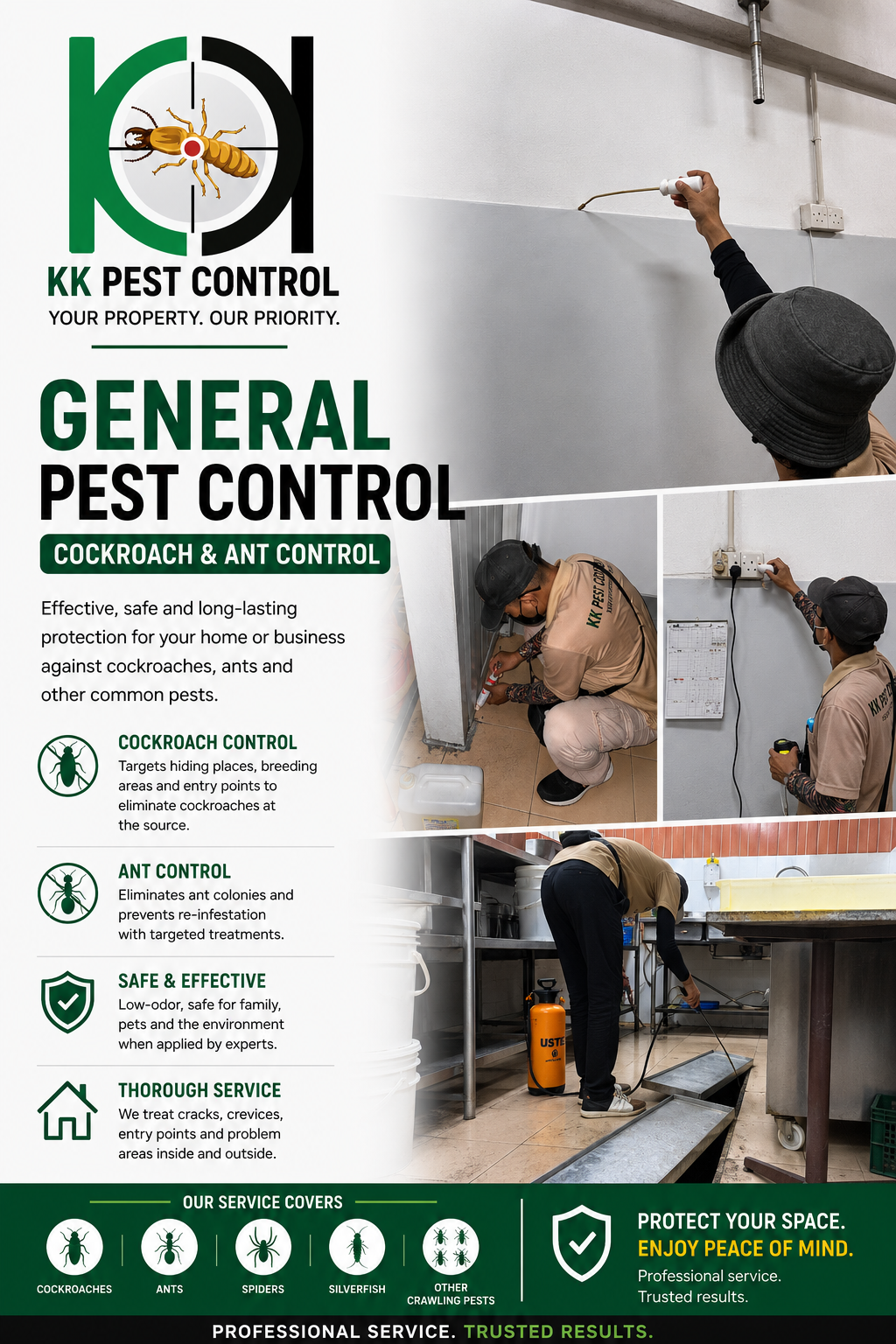 General pest control service image